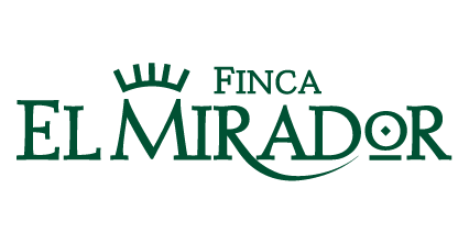 Carne online de vacuno madurado